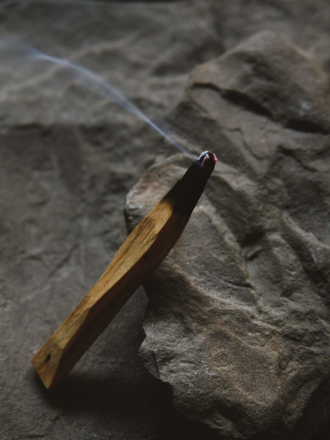 palo-santo palo-santo